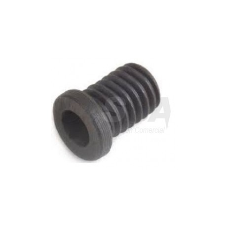 Tornillo Hueco para asientos TH0608